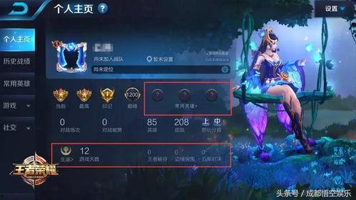 王者游戏爆料最新版大全,最新版大全深度解析，揭秘游戏新动态与亮点