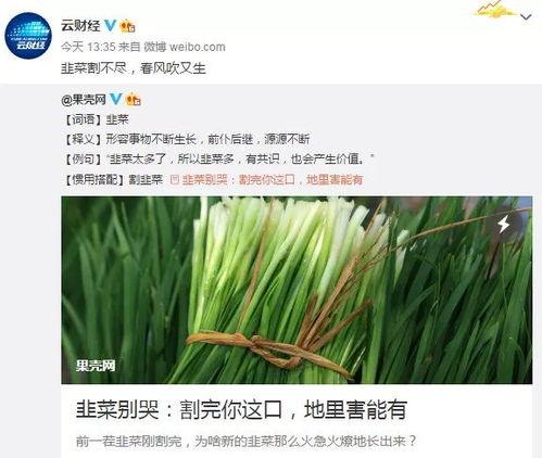 微博最新爆料韭菜,韭菜价格波动背后的秘密，揭秘市场新动态！