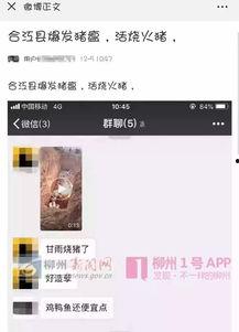 猪瘟最新爆料视频大全集,视频大全集深度解析