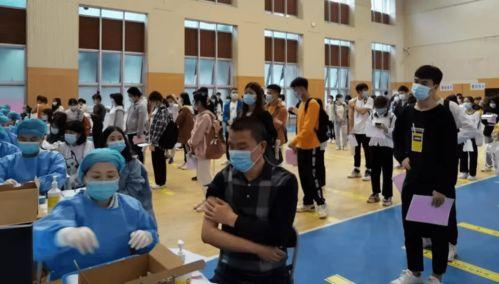 石家庄抓爆料人最新消息,警方雷霆出击，案情揭秘